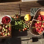 Obertimmeltaler Séjour à la ferme *