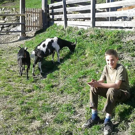 Obertimmeltaler * Matrei in Osttirol