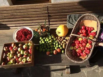 Obertimmeltaler Agroturismo *